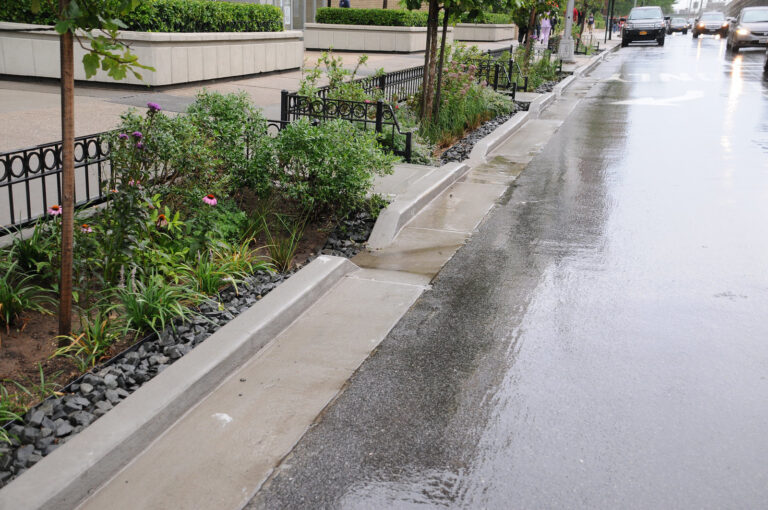 Modelo de jardim de chuva